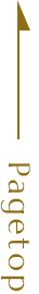 Pagetop